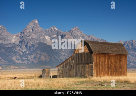 Grand Teton oberhalb einer Ranch entlang Mormone Zeile in Grand Teton Nationalpark, Wyoming Stockfoto