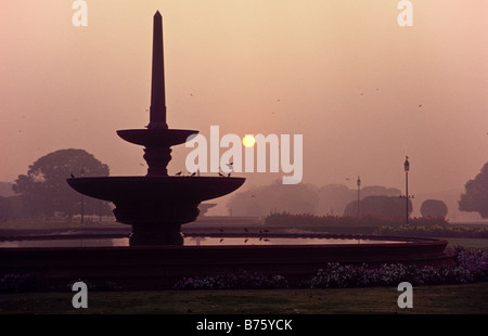 Sonnenaufgang am Vijay Chowk / Rajpath, in der Nähe von Rashtrapati Bhawan, New Delhi-Indien Stockfoto