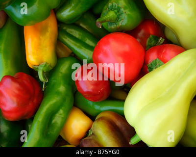 verschiedene süße Paprika, California Stockfoto