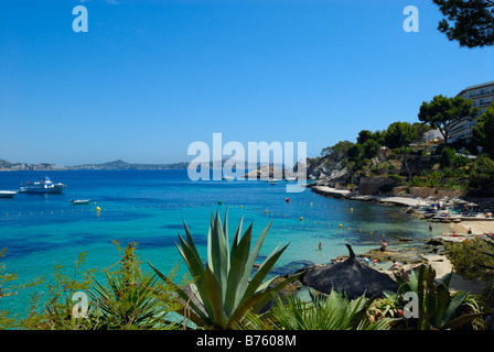 Strand von Cala Fornells, Paguera, Mallorca, Balearen, Spanien Stockfoto