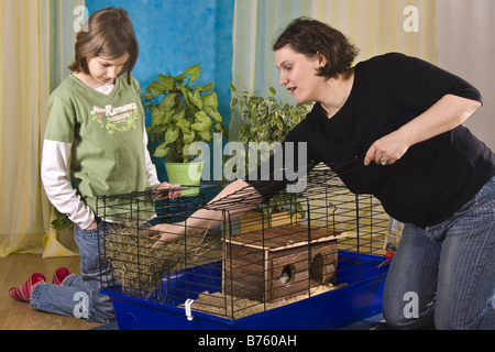 Mutter und Tochter bereitet einen Käfig für Meerschweinchen oder Kaninchen Stockfoto