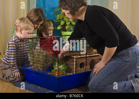 Mutter mit Kindern bereitet einen Käfig für Meerschweinchen oder Kaninchen, Putting-Green-Futter in den Käfig Stockfoto