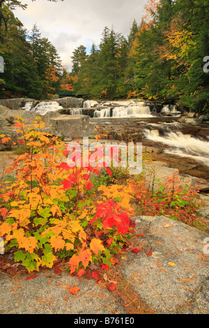 Falls Jackson, Jackson, White Mountains, New Hampshire, USA Stockfoto