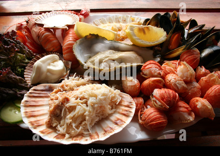 Schottische Meeresfrüchte-Platte mit Meeresfrüchte im Restaurant im schottischen Hochland mit Hummer, Langusten, Austern Stockfoto