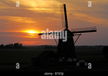 holländische Windmühle roten Sonnenuntergang Hintergrundbeleuchtung Texel Insel Nord Holland Europa Nachleuchten Stockfoto