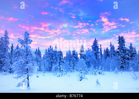 Schnee Winter Abendrot Sonnenuntergang Sumpfwald Gaellivare Lappland Norrbotten Schweden Skandinavien Moor Landschaft Landschaft Stockfoto