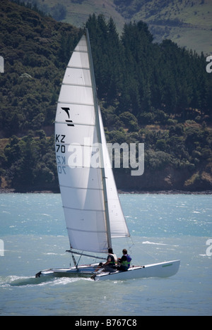 Segeln Katamaran, Taube Bucht, Banks Peninsula, Canterbury, Neuseeland Stockfoto