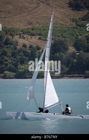 Segeln Katamaran, Taube Bucht, Banks Peninsula, Canterbury, Neuseeland Stockfoto