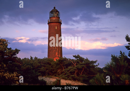 Leuchtturm am Abend Darß Fischland Zingst Mecklenburg-Vorpommern Deutschland Pomeraniam Stockfoto