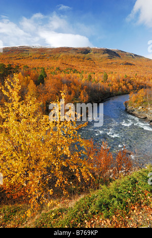 Fluss Njulla Berg Abisko Canyon Herbstfarben Landschaft Abisko Nationalpark Norrbotten Lappland Schweden Europa Stockfoto