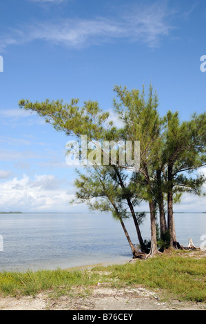 San Carlos Bay auf Gulf Coast Intracoastal Wasser-Strasse in der Nähe von Sanibel Island Florida USA Stockfoto