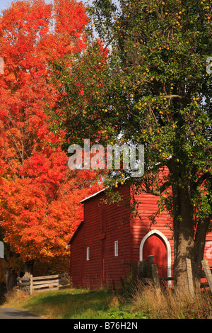 Scheune, Western Highland County, Virginia, USA Stockfoto