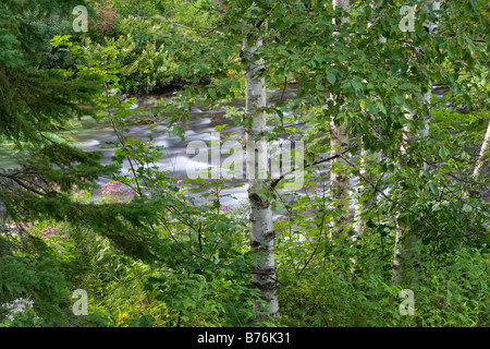 Nord Amerika Kanada Ontario Killarney Provincial Park Chikanishing River Stockfoto