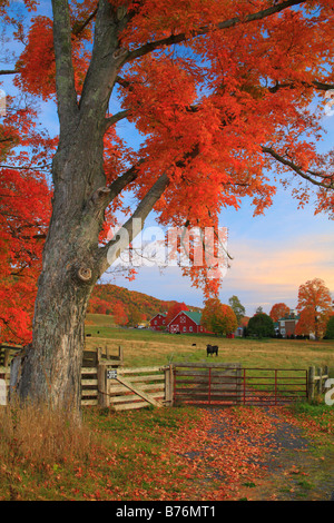 Dawn, Western Highland County, Virginia, USA Stockfoto