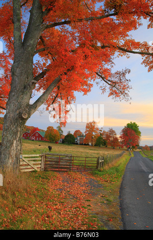 Dawn, Western Highland County, Virginia, USA Stockfoto