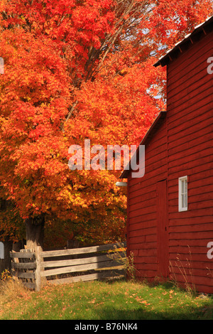 Scheune, Western Highland County, Virginia, USA Stockfoto