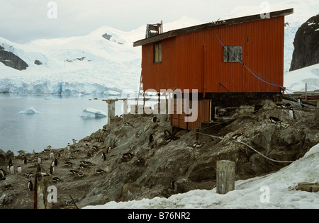 Almirante Brown Station mit Gentoo Pinguine nisten, Paradise Bay, antarktische Halbinsel Stockfoto