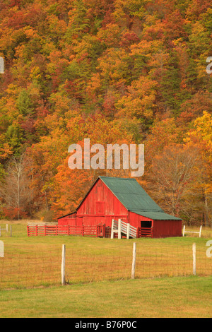 West Highland County, Virginia, USA Stockfoto