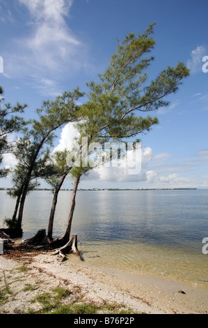 San Carlos Bay auf Gulf Coast Intracoastal Wasser-Strasse in der Nähe von Sanibel Island Florida USA Stockfoto