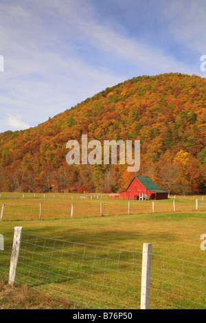 West Highland County, Virginia, USA Stockfoto