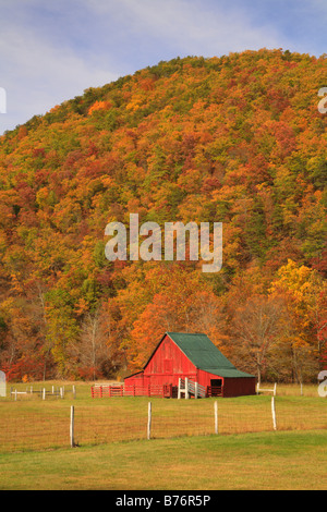 West Highland County, Virginia, USA Stockfoto