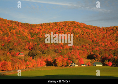 West Highland County, Virginia, USA Stockfoto