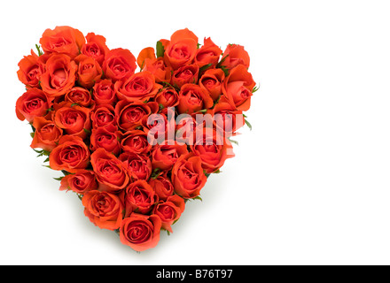 Herz, hergestellt aus frischen Rosen auf weißem Hintergrund Stockfoto