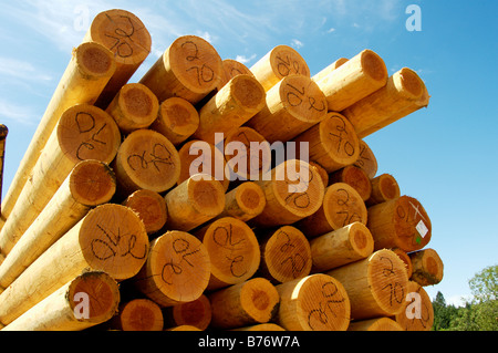 Holz-Stangen auf der Durchreise von der Mühle auf der Schiene Stockfoto