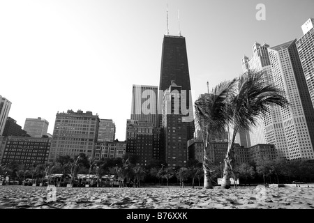 PALMEN AUF OAK STREET BEACH GOLD COAST CHICAGO ILLINOIS USA Stockfoto