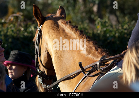 Lacock Teh Avon Vale Hunt am zweiten Weihnachtstag Stockfoto