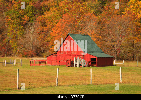 West Highland County, Virginia, USA Stockfoto