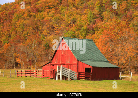 West Highland County, Virginia, USA Stockfoto