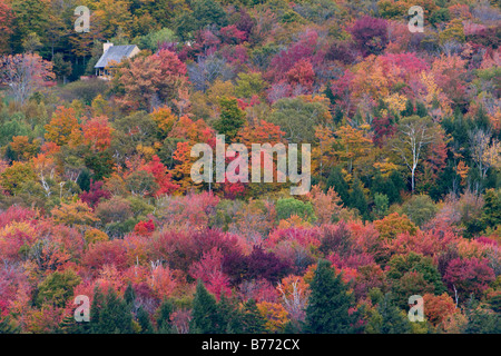 Herbstfarben von Vermont 5. Oktober 2008 Stockfoto