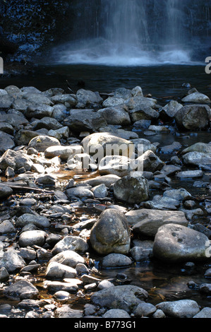 Die Russell Falls Wasserfall in Mt. Field National Park, Tasmanien. Stockfoto