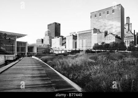 PRAIRIE STYLE LURIE GARDEN IM MILLENNIUM PARK IN DER INNENSTADT VON CHICAGO ILLLINOIS USA Stockfoto