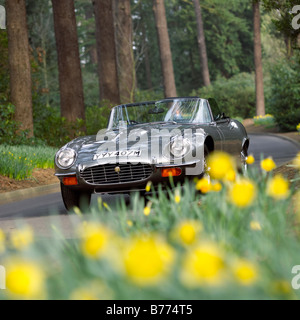 Jaguar E-Type Roadster 1973 Stockfoto