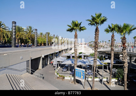 Promenade, Restaurant und Palm Trees, Port Olimpic, Barcelona, Katalonien, Spanien, Europe Stockfoto