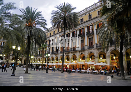 Placa Reial Square, Menschen, Palmen, Restaurant, Café im Freien, Dusk, Abend, Barcelona, Katalonien, Spanien, Europa Stockfoto