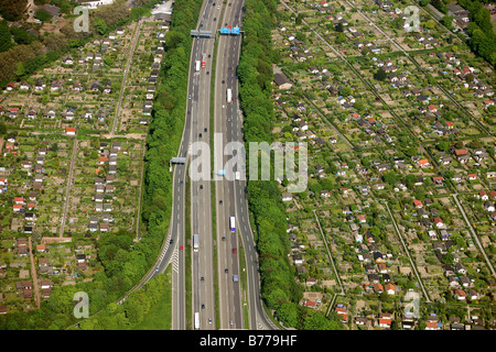 Luftaufnahme, Duisburg Autobahnkreuz A40 und A59, Zuteilung Gärten, Duisburg, Ruhrgebiet, Nordrhein-Westfalen, Deutschland Stockfoto