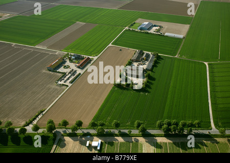 Luftbild, Bauernhöfe, niederrheinischen Landschaft, Straelen, Nordrhein-Westfalen, Deutschland, Europa Stockfoto