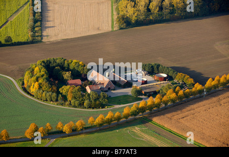 Luftaufnahme, Bauernhof, Felder, Landwirtschaft, Ascheberg in der Nähe von Münster, Münsterland, Nordrhein-Westfalen, Deutschland, Europa Stockfoto