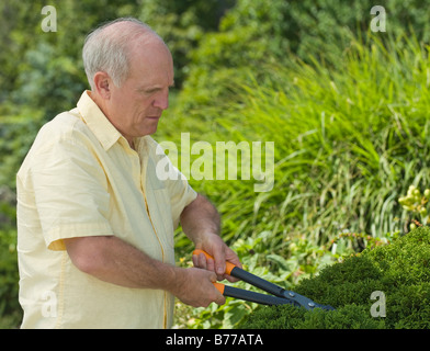 Senior woman Rebschnitt Hecken Stockfoto