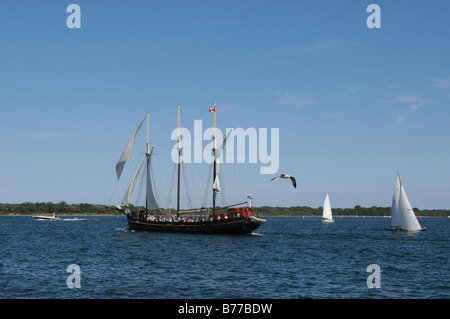 Segeln Sie Boote und der restaurierten dreifach Mast-Schoner "Kajama" heraus auf eine Genuss-Kreuzfahrt im Hafen von Toronto. Stockfoto