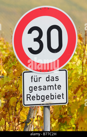 Tempolimit Schild in einem Weinbaugebiet Stockfoto