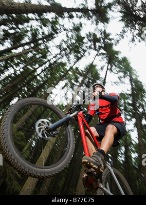 Bergwald Biker mitten in der Luft Stockfoto