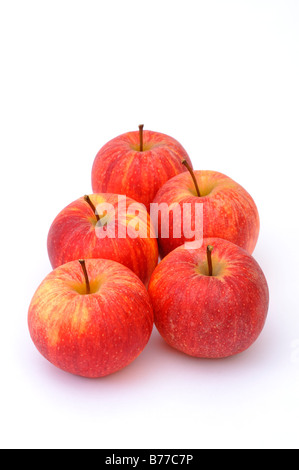 Rote Äpfel, Gala Marke Stockfoto