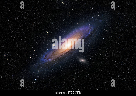 Die Andromeda-Galaxie Stockfoto