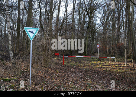 Naturschutzgebiet in einem Hochwasser am Main in der Nähe von Schweinfurt, untere Franken, Bayern, Deutschland, Europa Stockfoto