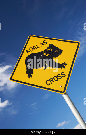 Koala Crossing Warnzeichen in der Nähe von Wingham New South Wales Australien Stockfoto