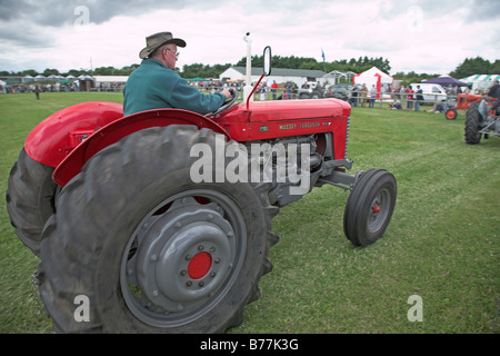 Oldtimer-Traktor-Display Suffolk Kleinbauern Jahresausstellung Stonham Scheunen Suffolk England Juli 2008 rot Massey Ferguson Stockfoto